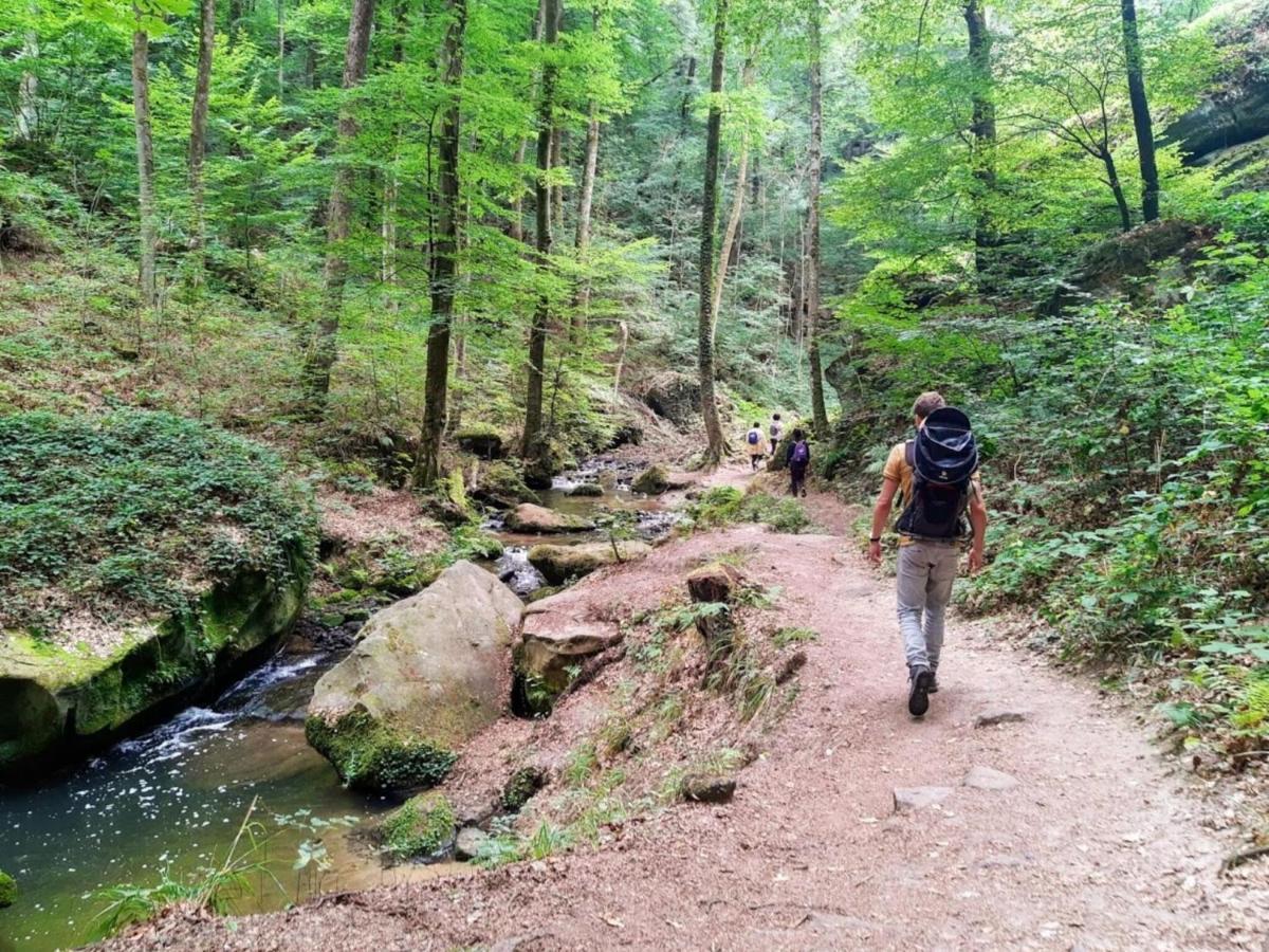 Nice Tent Lodge On A Campsite, Bordering The Forest, Luxembourg At 27 Km Medernach Extérieur photo